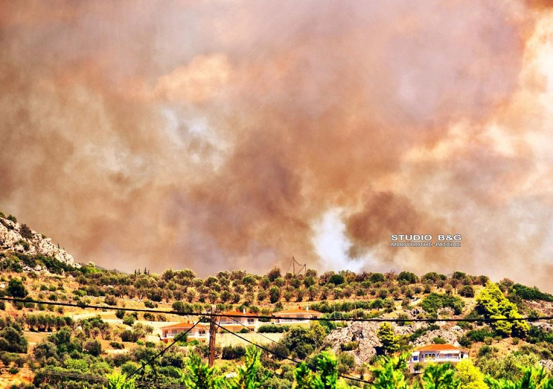 Αργολίδα - Πυρκαγιά
