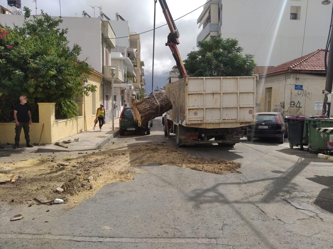 Πεύκο στα τρία Πεύκα