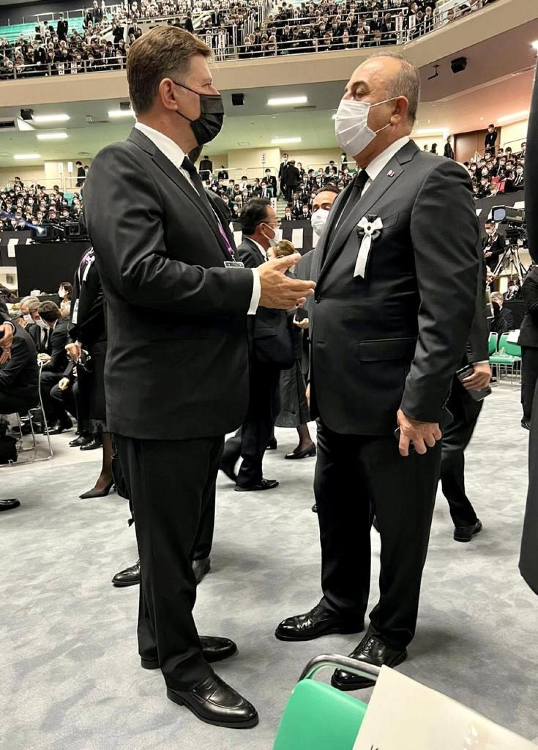 Βαρβιτσιώτης - Τσαβούσογλου