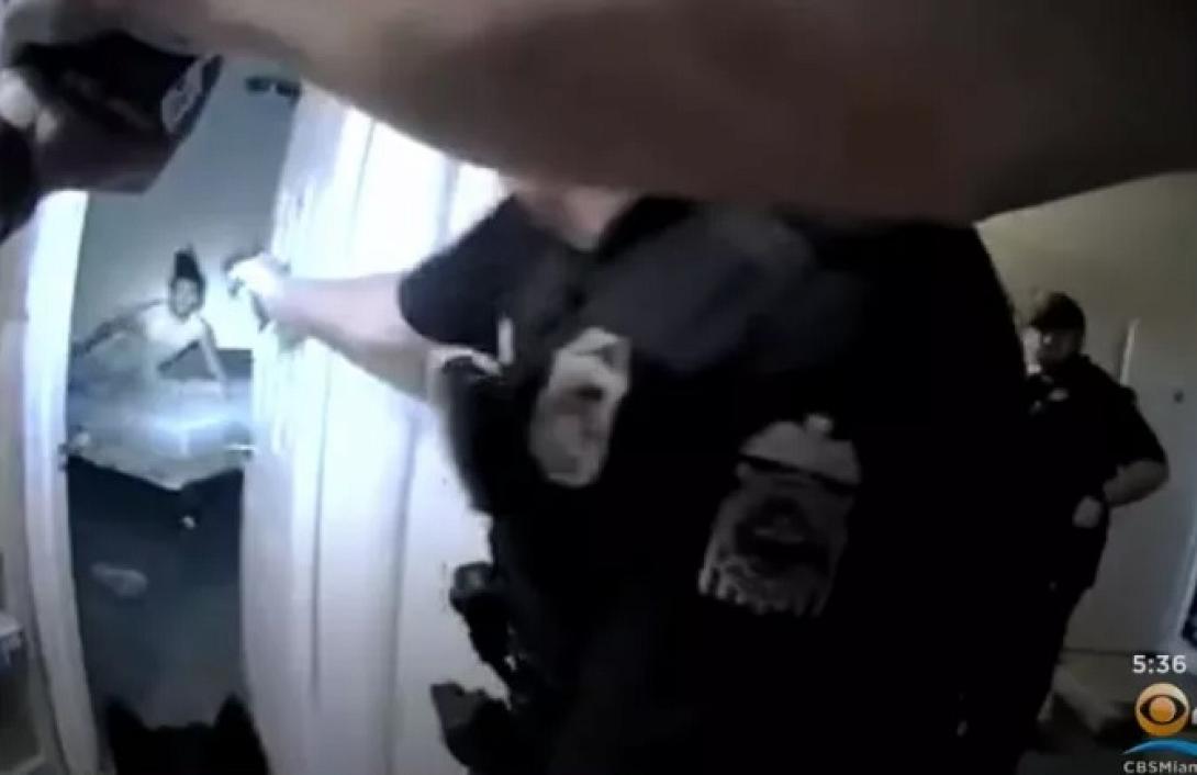 δδολοφονία - ΗΠΑ