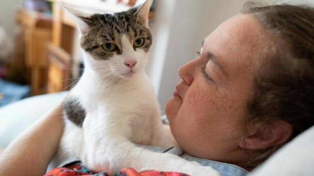 γάτος καρδιακή προσβολή