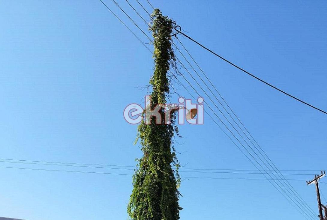 στύλος δεη γούβες