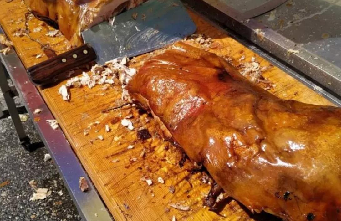 γουρουνοπούλα