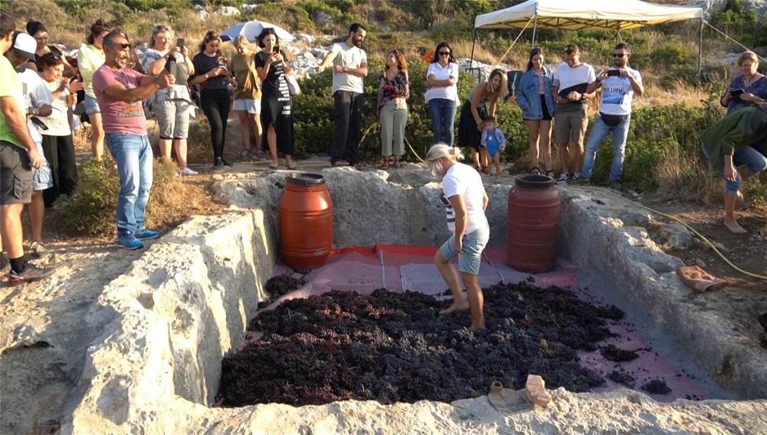 ΠΑΤΗΤΗΡΙ ΣΤΑΦΥΛΙΩΝ