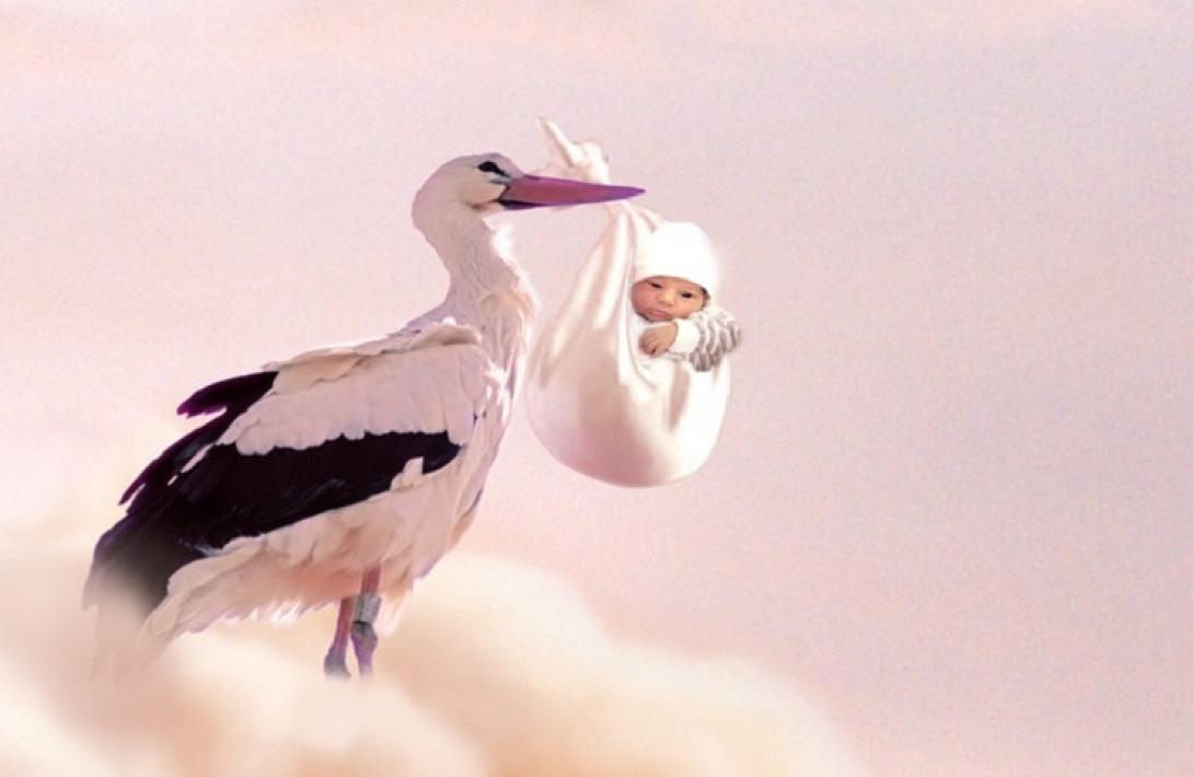 γέννηση.μωρό,πελαργός