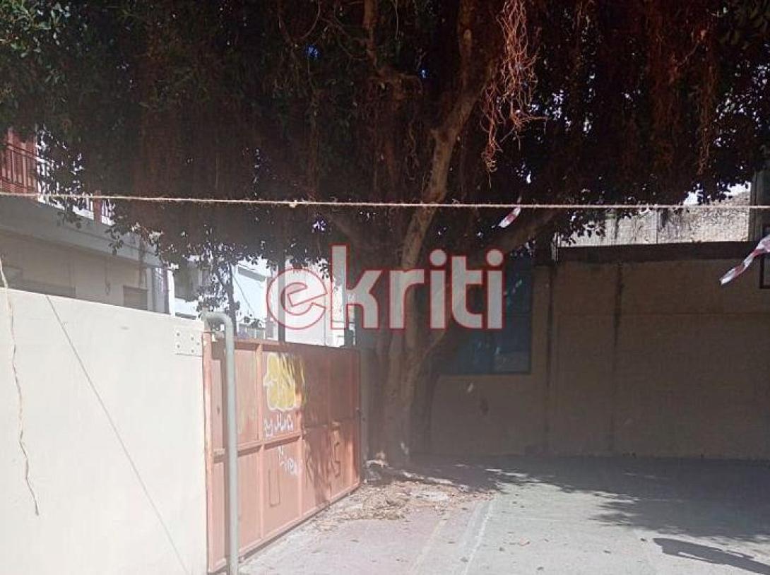 Ηράκλειο: Το δέντρο κρέμεται πάνω από τα κεφάλια μαθητών