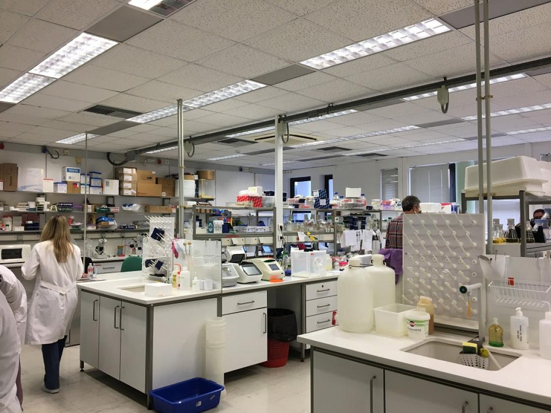 ερευνα για δάκο