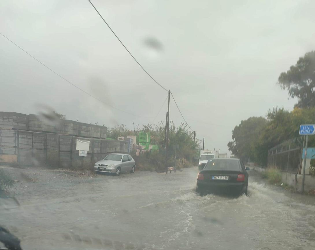 φοινικια βροχη