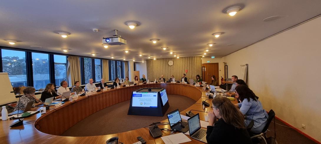 δημος πλατανια