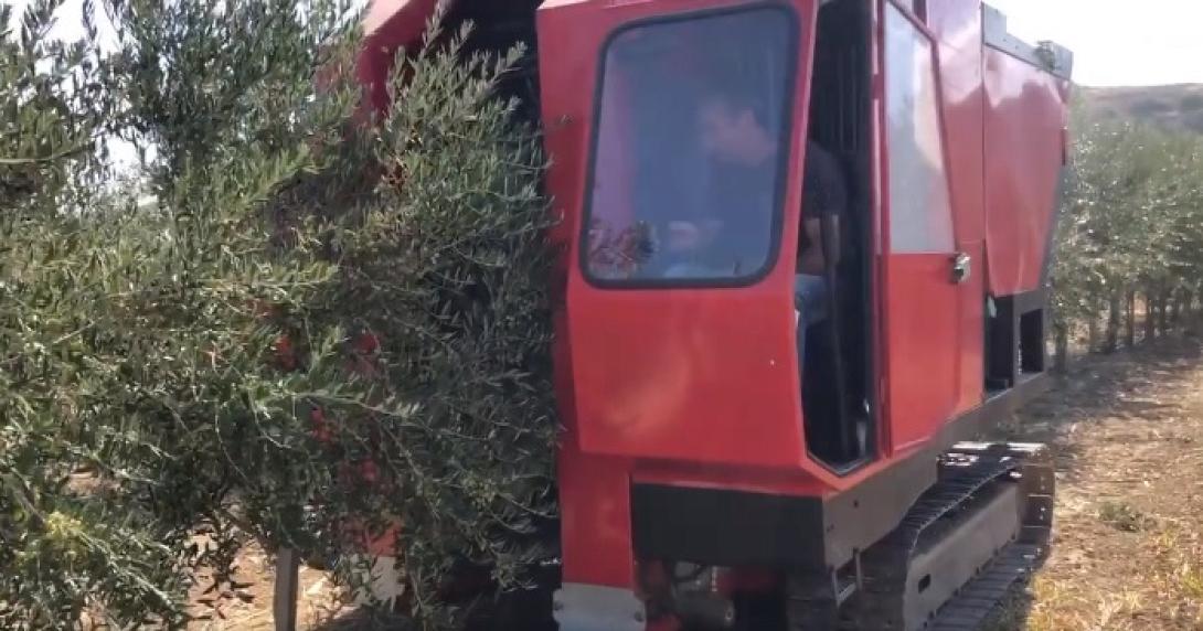 μηχάνημα για ράβδισμα ελιών
