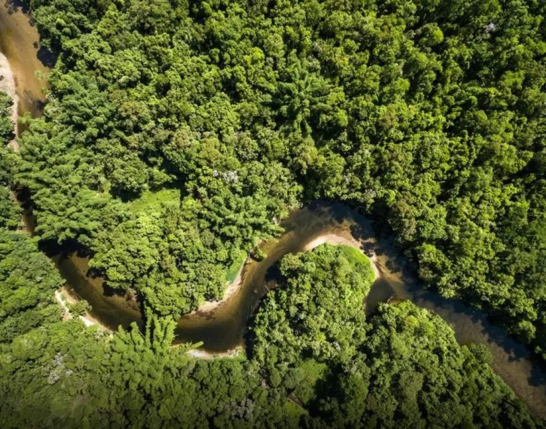 Αμαζόνιος-Περού