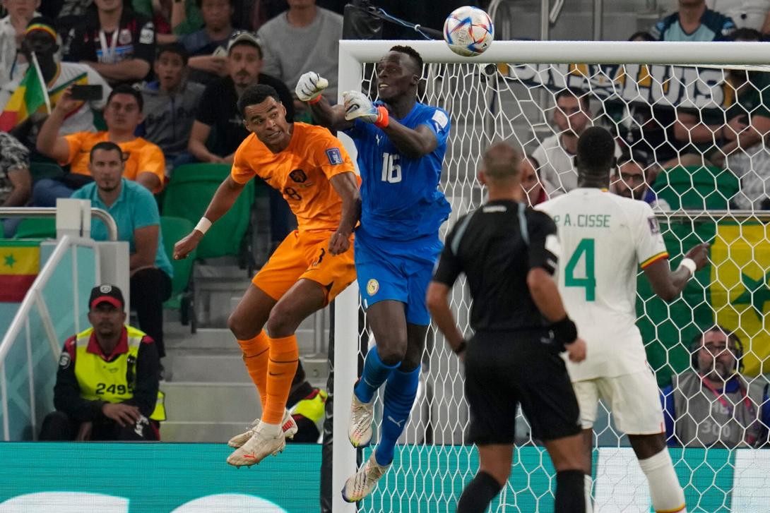 ολλανδια σενεγαλη