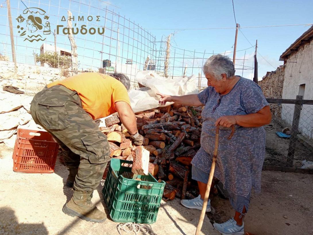 γαύδος ξύλα