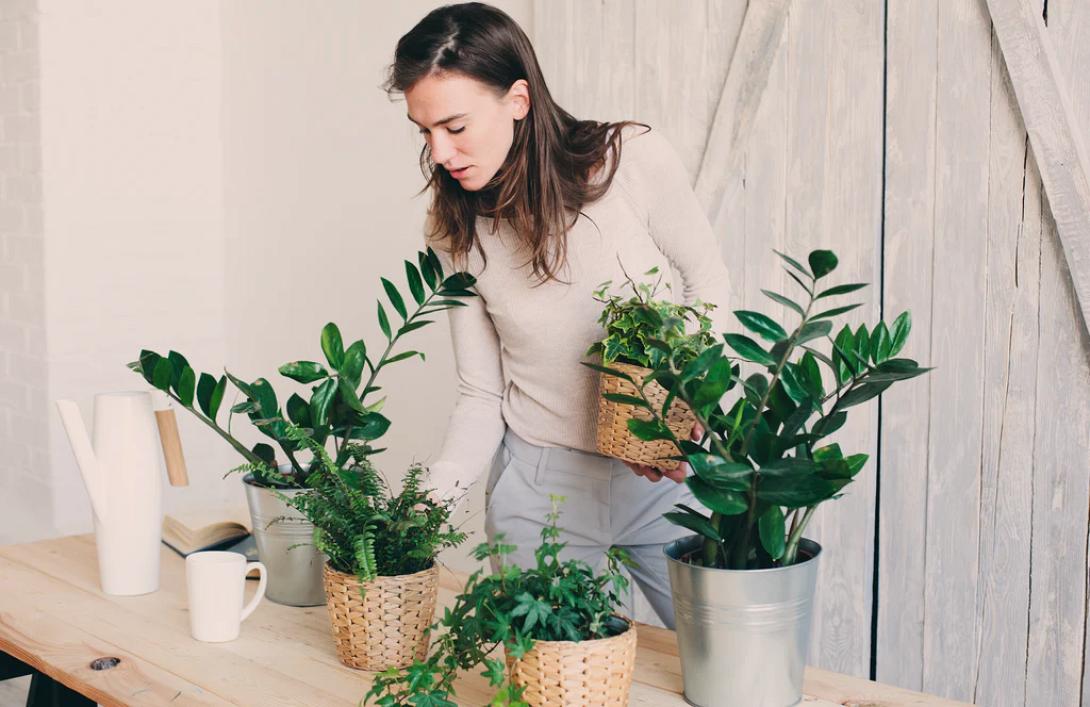 γυναίκα, φυτά