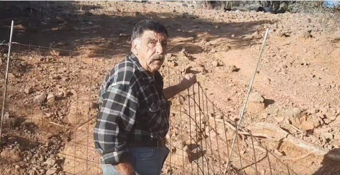 κτηνοτρόφος μεσαρά