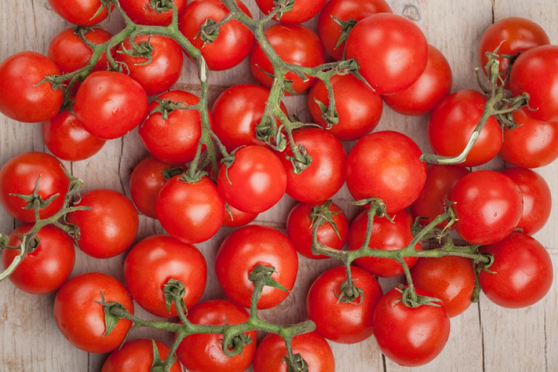 ντοματίνια