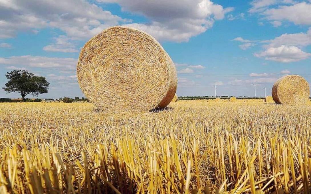 ρωσία σιτηρά