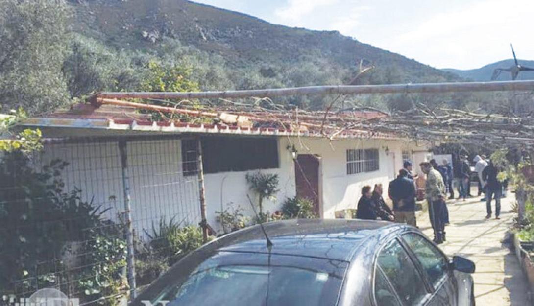 Σφηνάρι Χανίων