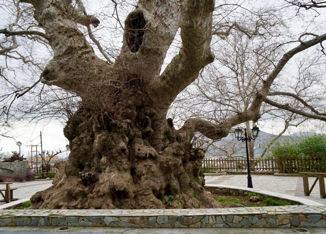 χωριό Κράσι