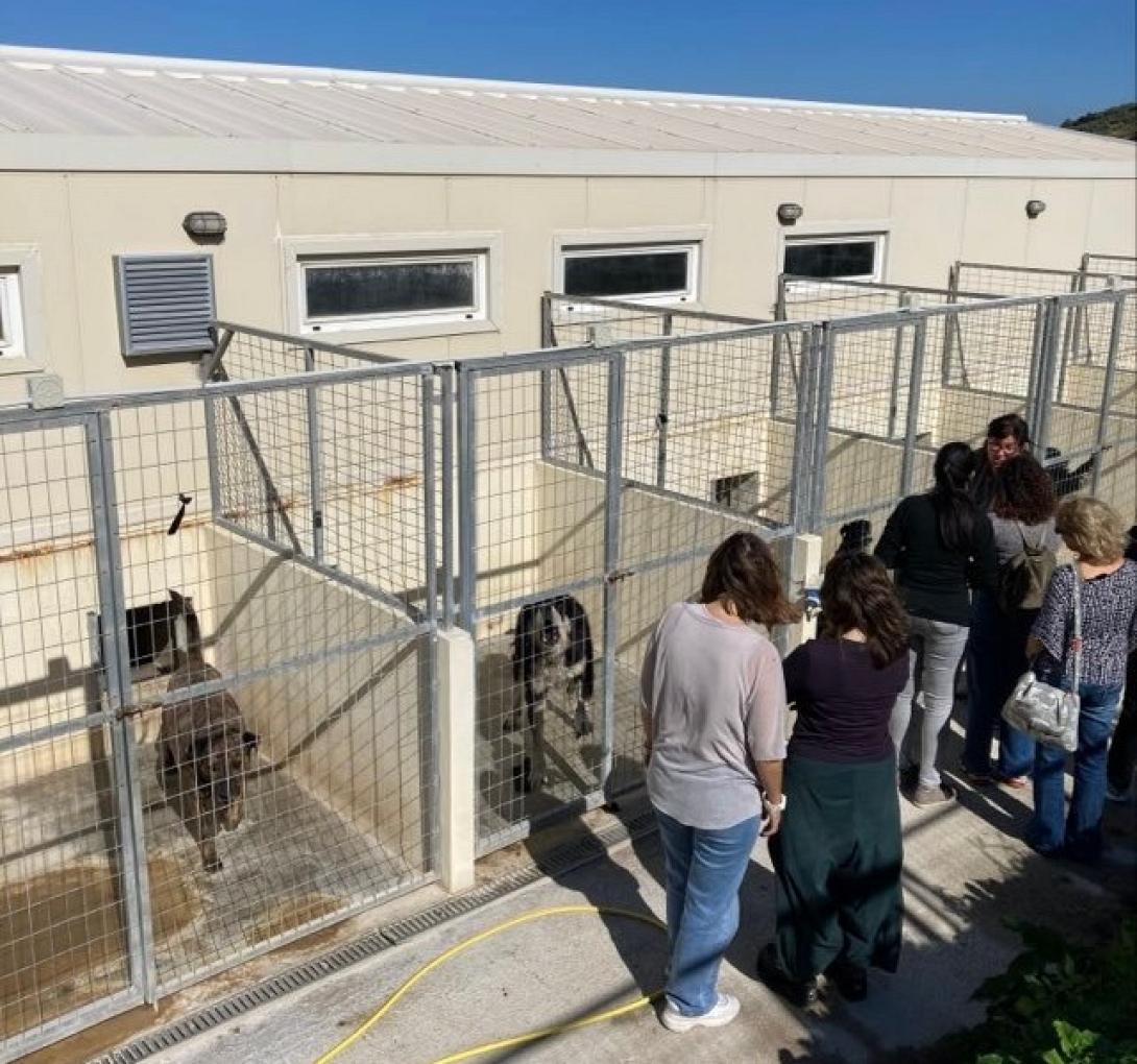 Κυνοκομείο