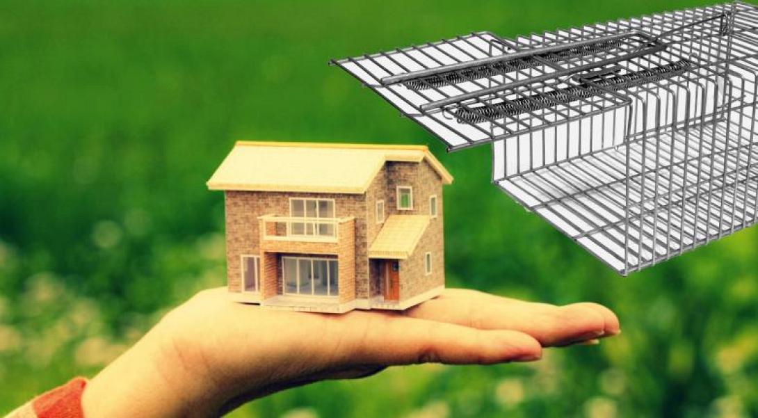 περιουσιολόγιο