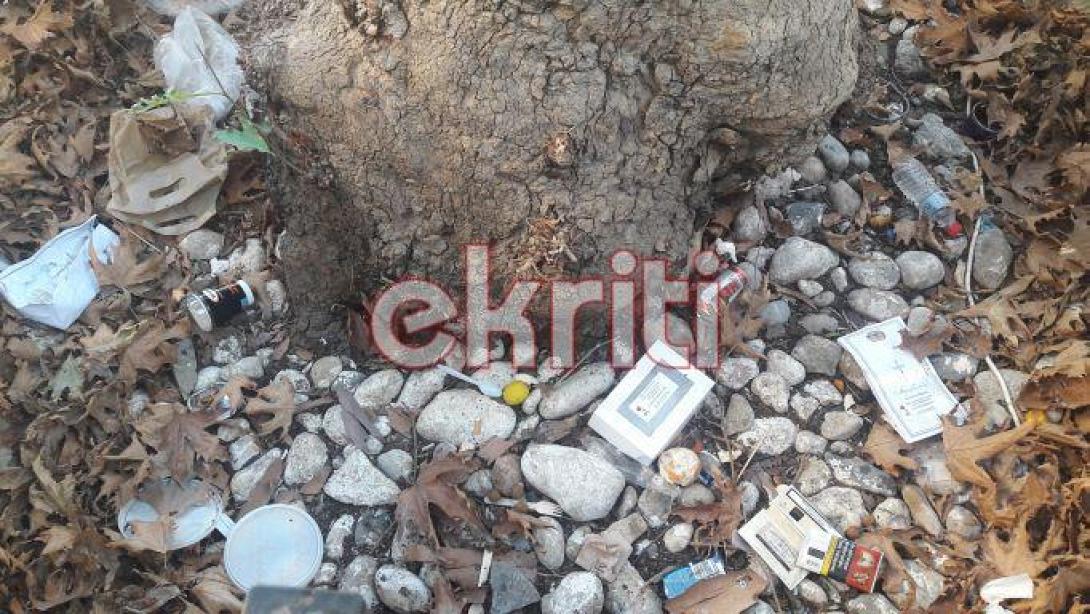 πλάτανος σκουπίδια