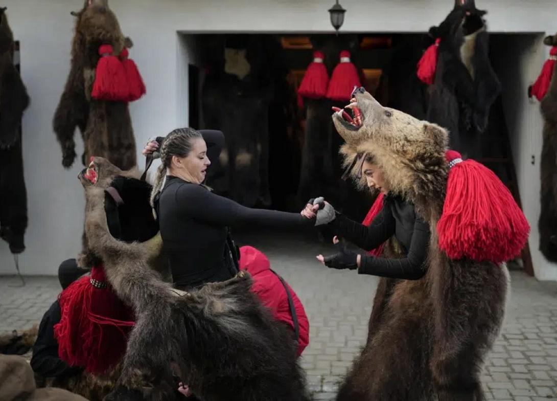 αρκουδα - Ρουμανία