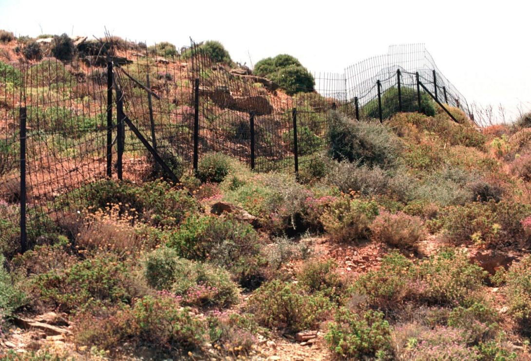 καταπατημένα ακίνητα