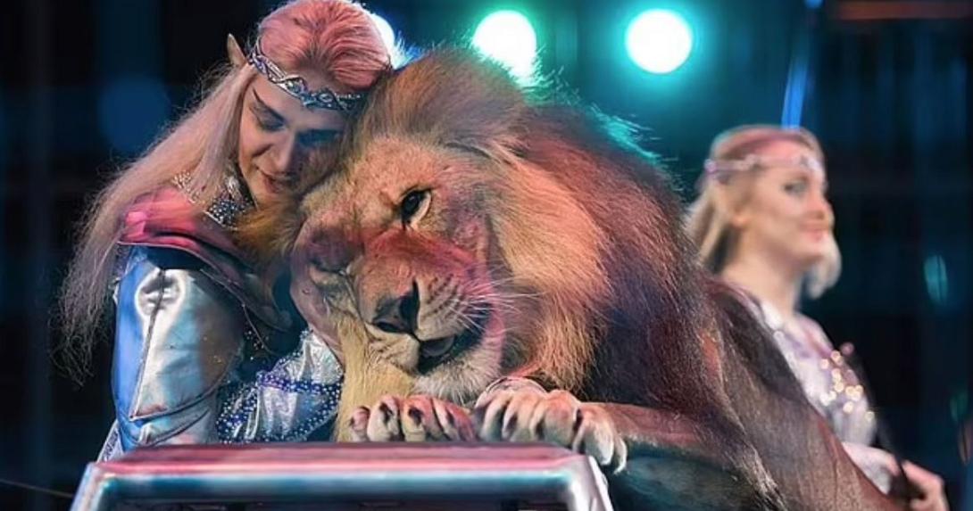 Λιονταρι εκπαιδευτής