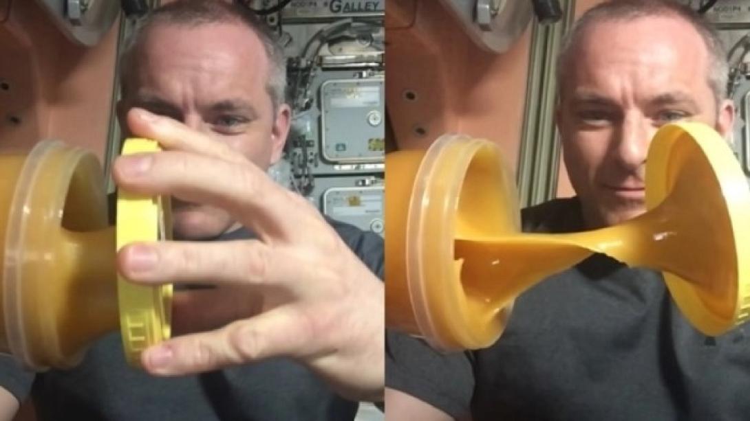 αστροναύτης μέλι