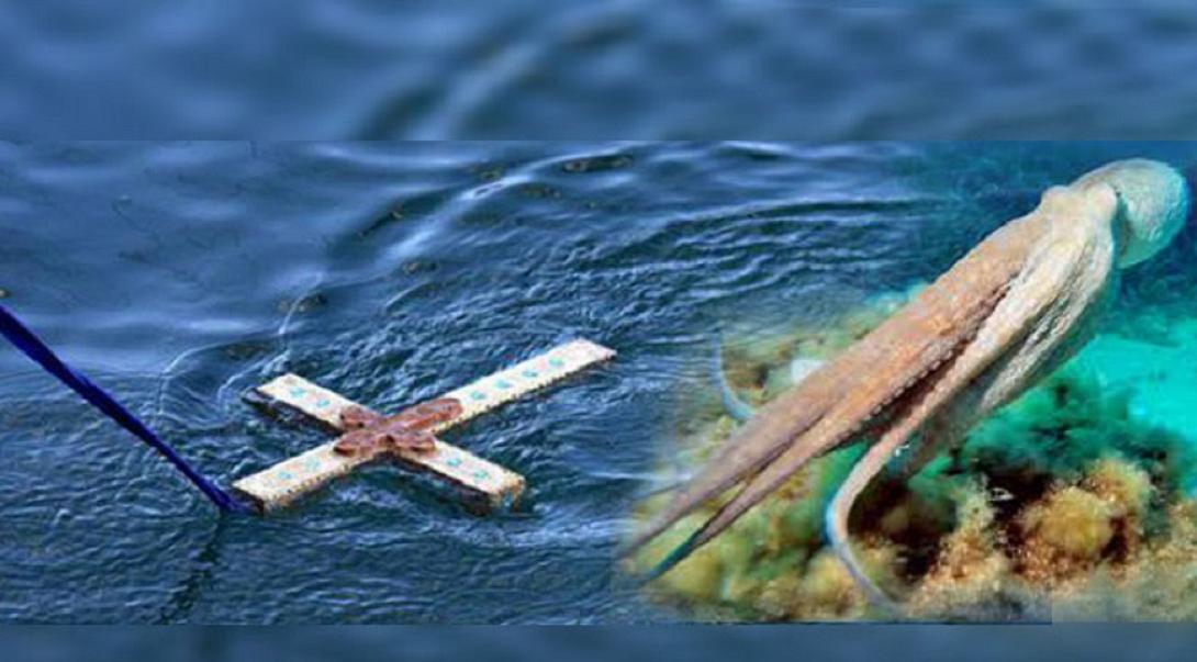 ΧΤΑΠΌΔΙ ΘΕΟΦΑΝΕΙΑ