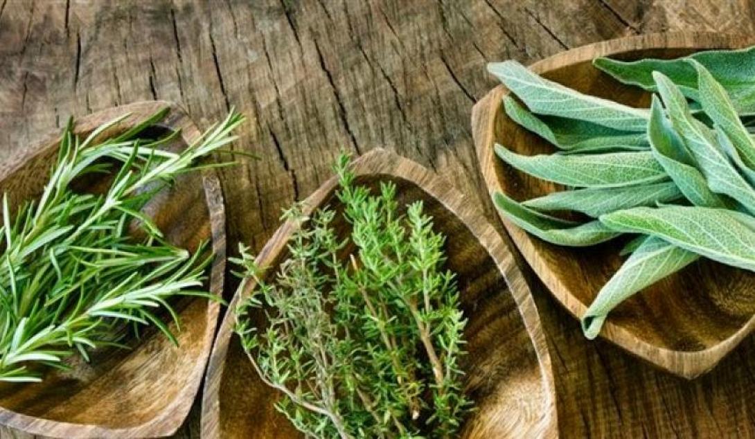 βοτανα κρητης