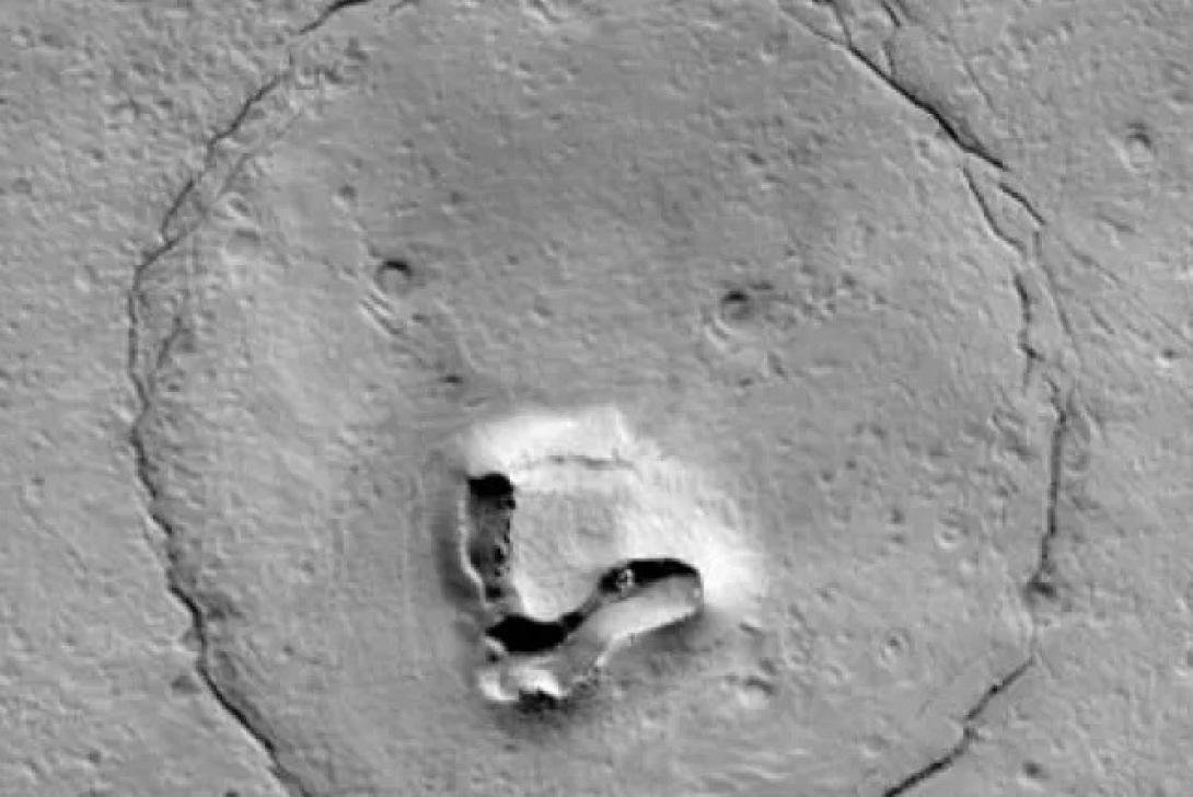 αρκουδα αρης