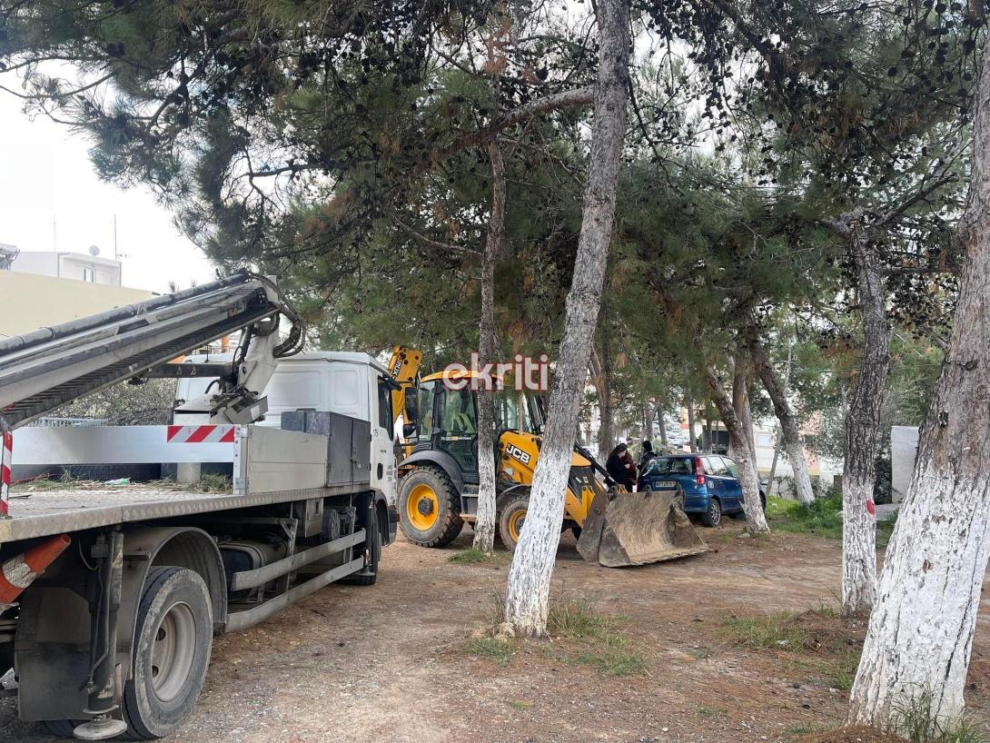 Δέντρα - Δειλινά