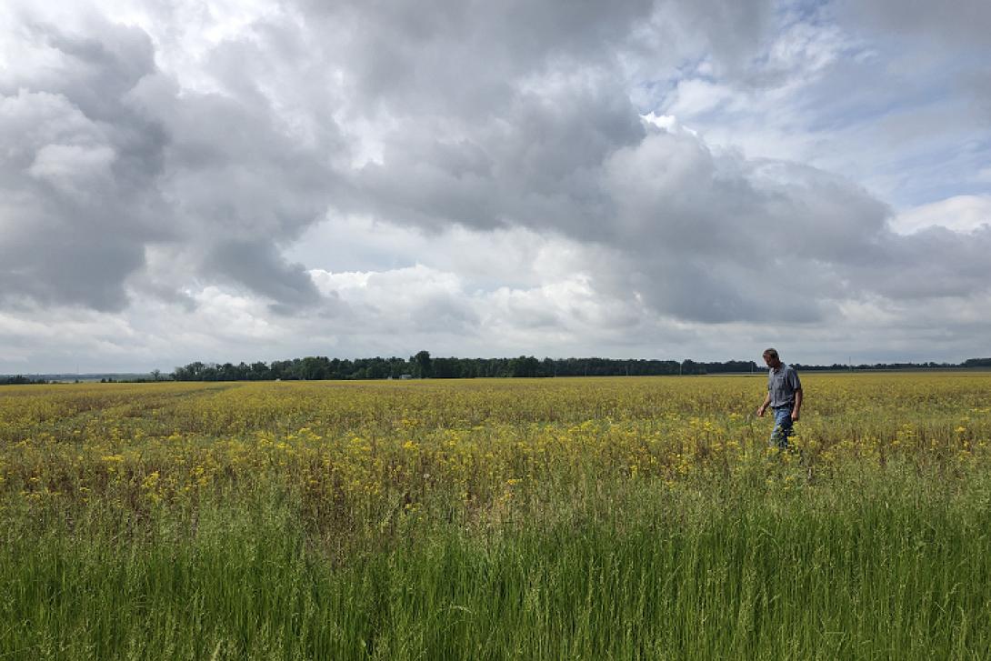χωράφια αγρότης