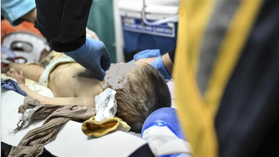 μωρό τουρκία