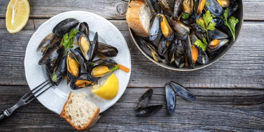 οστρακοειδή