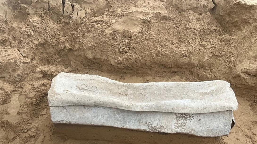 σαρκοφαγος