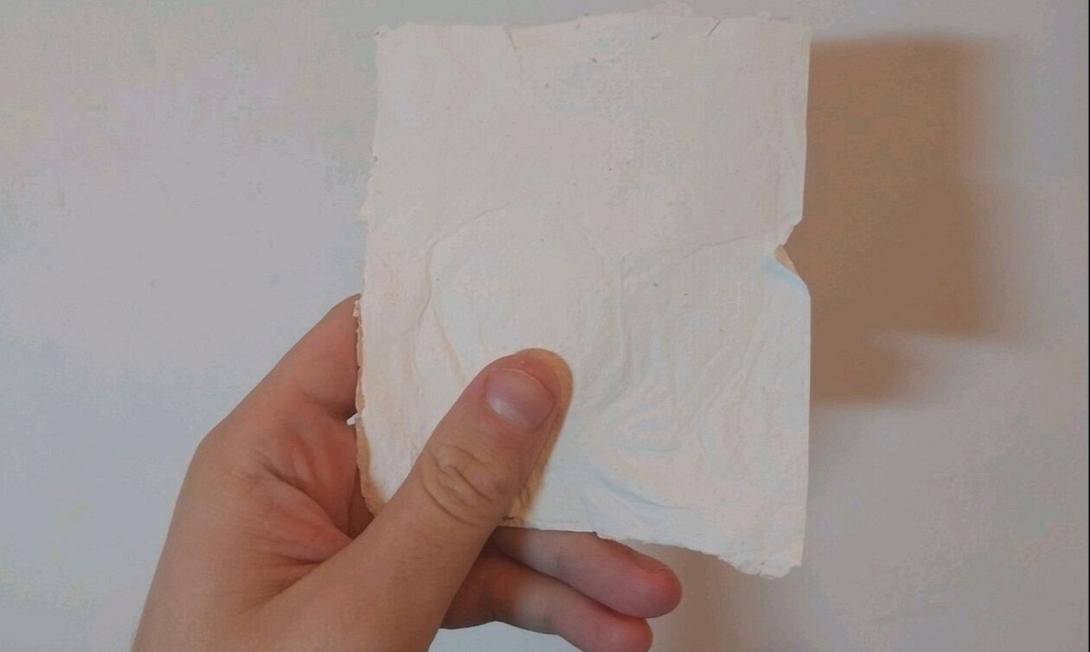 Χαρτί από βακτήρια