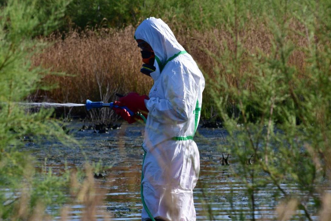 ΨΕΚΑΣΜΟΙ ΓΙΑ ΚΟΥΝΟΥΠΙΑ