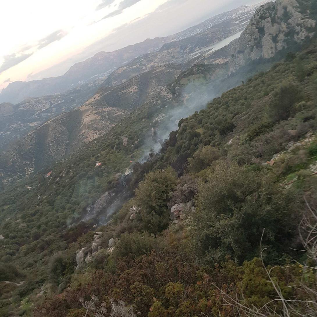 84χρονος που επιχείρησε να κάψει κλαδιά πίσω από τη μεγάλη φωτιά στην Καλαμαύκα