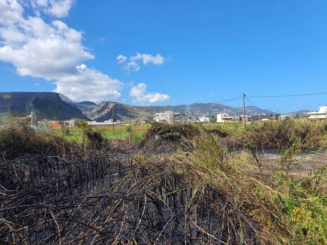 καμμένη έκταση γάζι