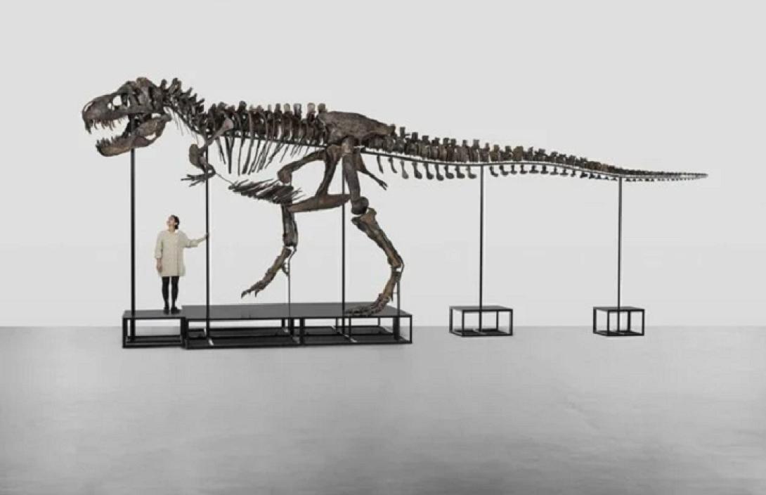 σκελετός Τυραννόσαυρου Rex