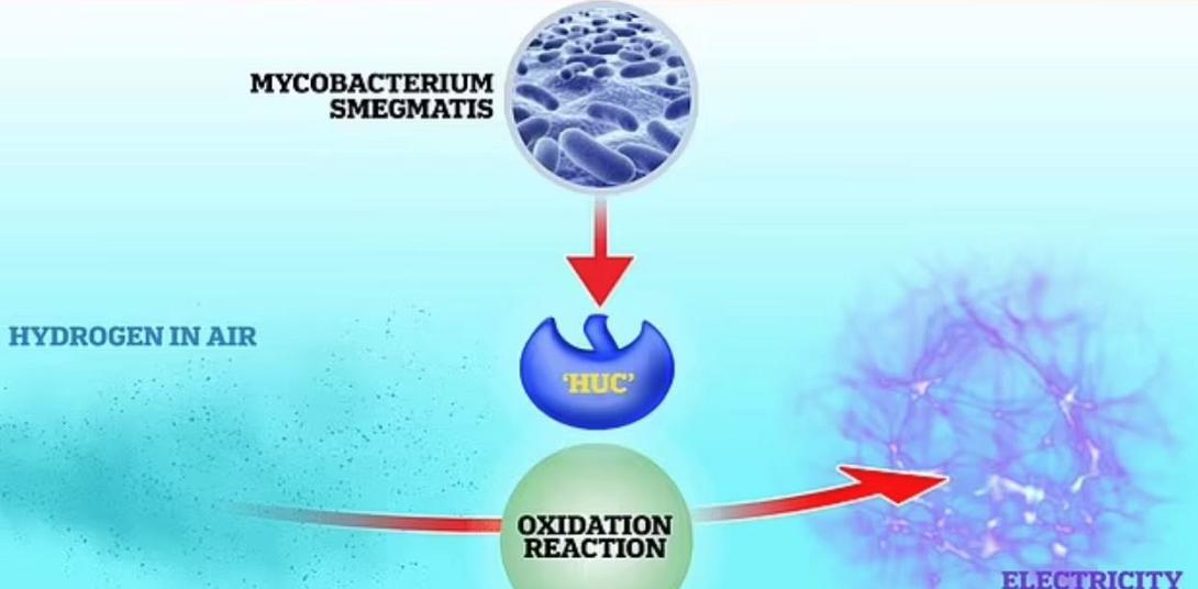 ΦΥΣΙΚΗ ΜΠΑΤΑΡΙΑ