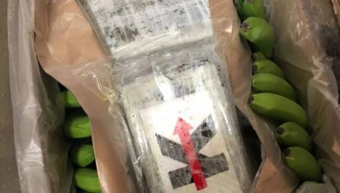 κοκαίνη όσλο