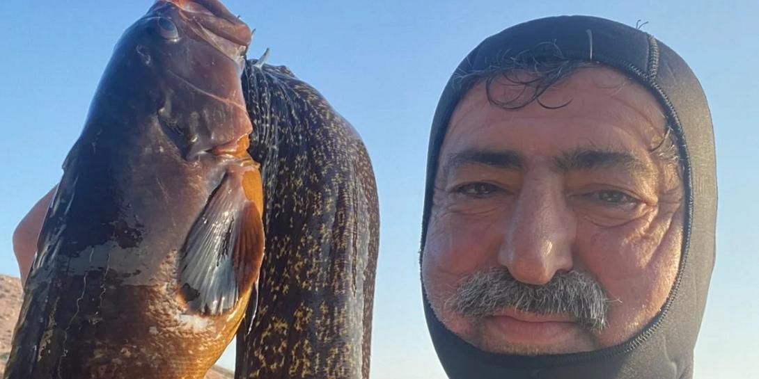 πολάκης σμέρνα