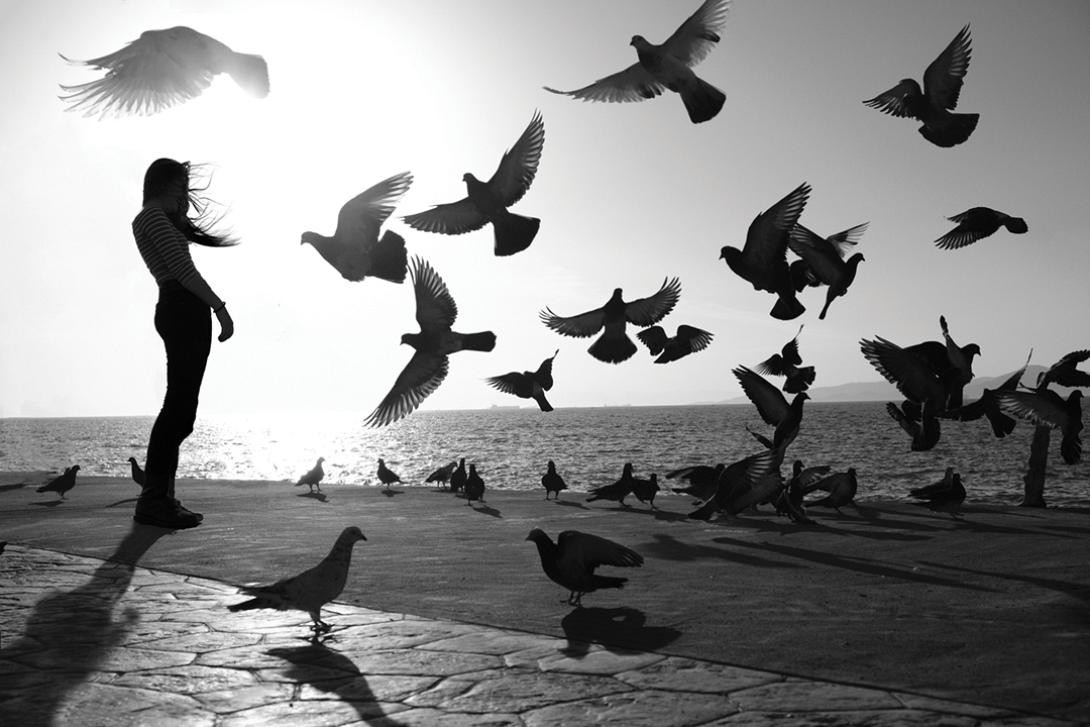 Ανδρέας Καμουτσής