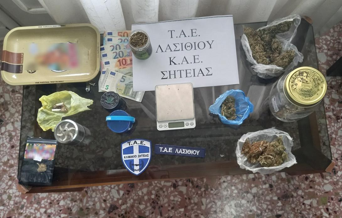 κάνναβη σητεία