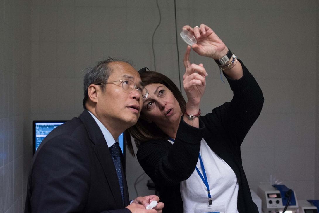 ιτε πρέσβης κίνας