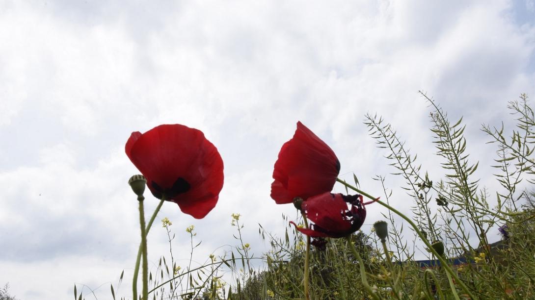 καιρος Πάσχα